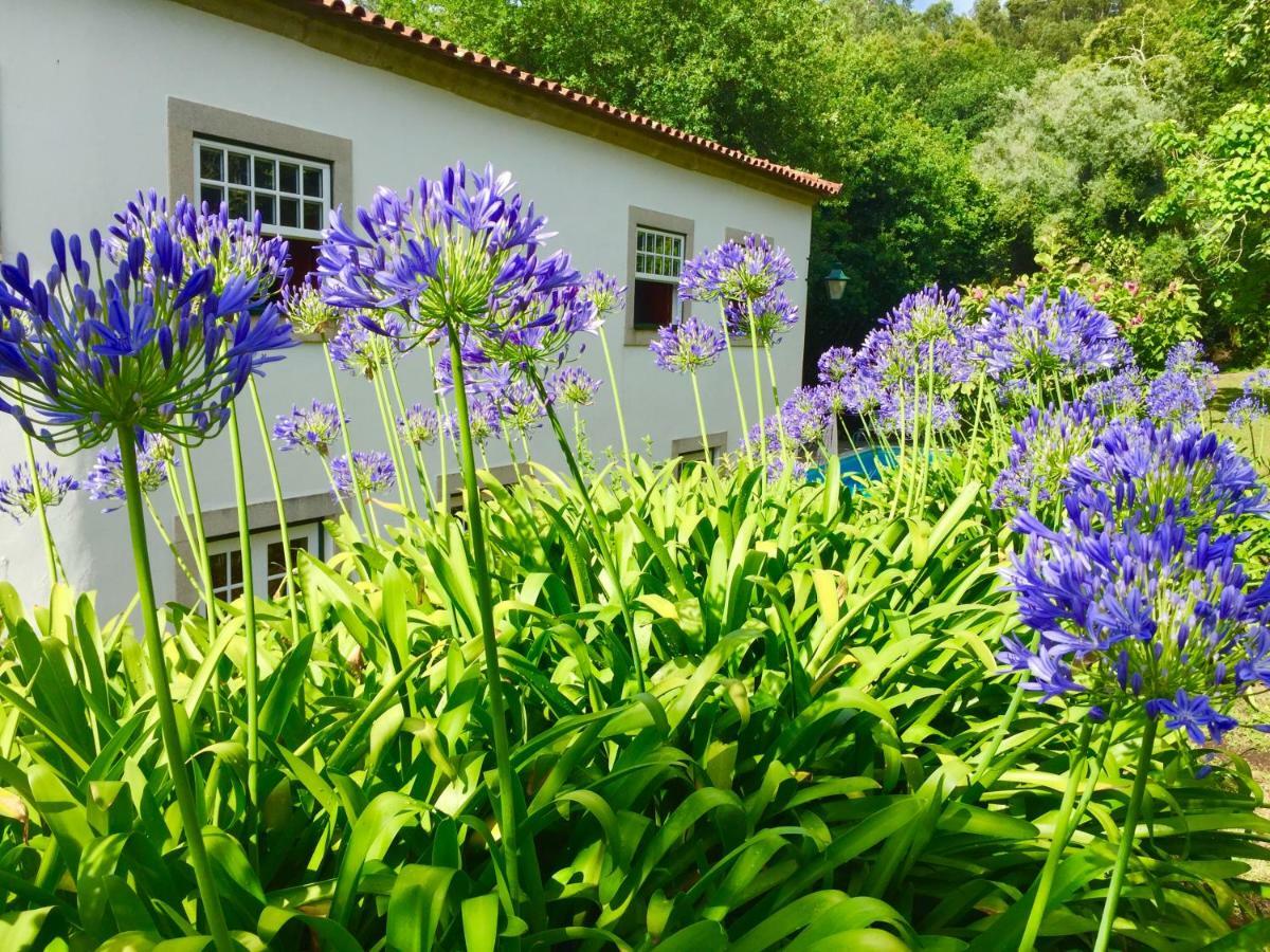 Facha Quinta Santo Antonio Da Pedreiraゲストハウス エクステリア 写真